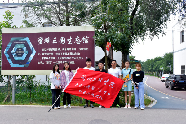 走進蜜蜂王國領略養蜂文化——經濟管理學院“非遺助農產業營銷”指導實踐團走進農戶