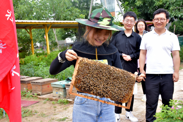 走進蜜蜂王國領略養蜂文化——經濟管理學院“非遺助農產業營銷”指導實踐團走進農戶