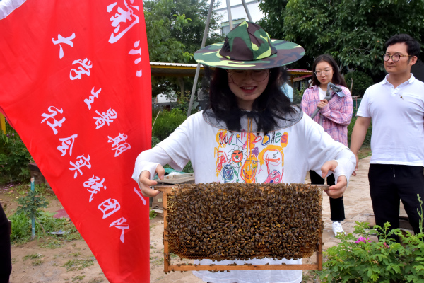 走進蜜蜂王國領略養蜂文化——經濟管理學院“非遺助農產業營銷”指導實踐團走進農戶