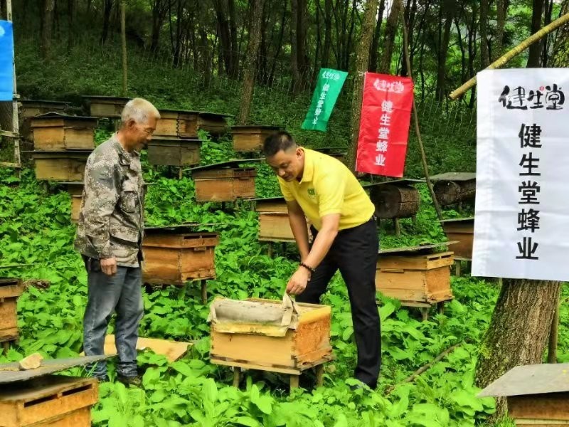 四川健生堂以全產(chǎn)業(yè)鏈發(fā)展成就現(xiàn)代特色蜂業(yè)