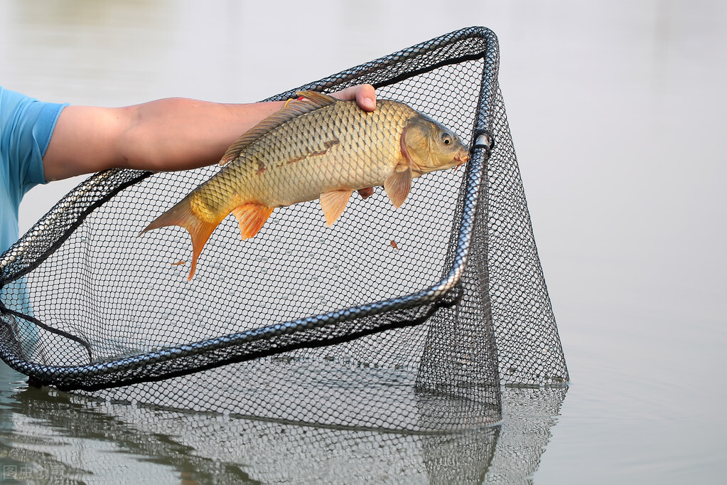 釣魚人常遇到的5件“怪事”，我相信你也遇到過，我遇到好幾次