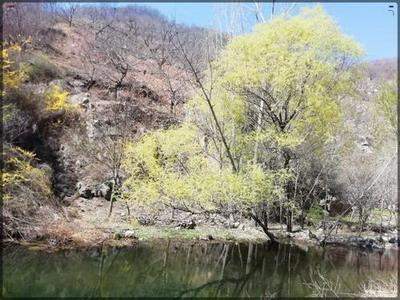 樓頂養蜂對風水有影響嗎（養蜂的風水禁忌）