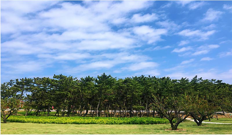 有篝火、有星空！山東私藏的這些自駕露營地景美人少，現在就出發！