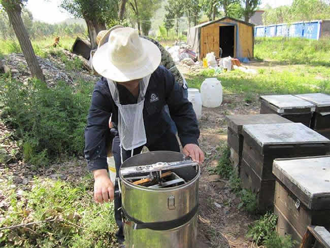 如何在有子脾情況下取蜜？