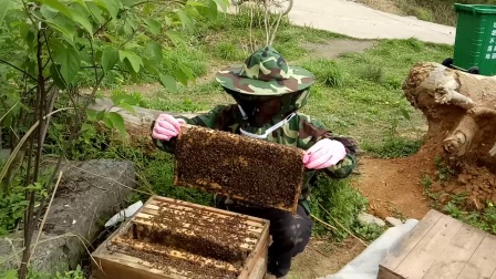 個人養蜂用營業執照能不能貸款（個體戶營業執照能貸款嗎）