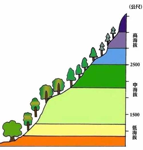 如何判斷蜜源地的優(yōu)劣（蜜源地好壞的判斷標(biāo)準(zhǔn)）