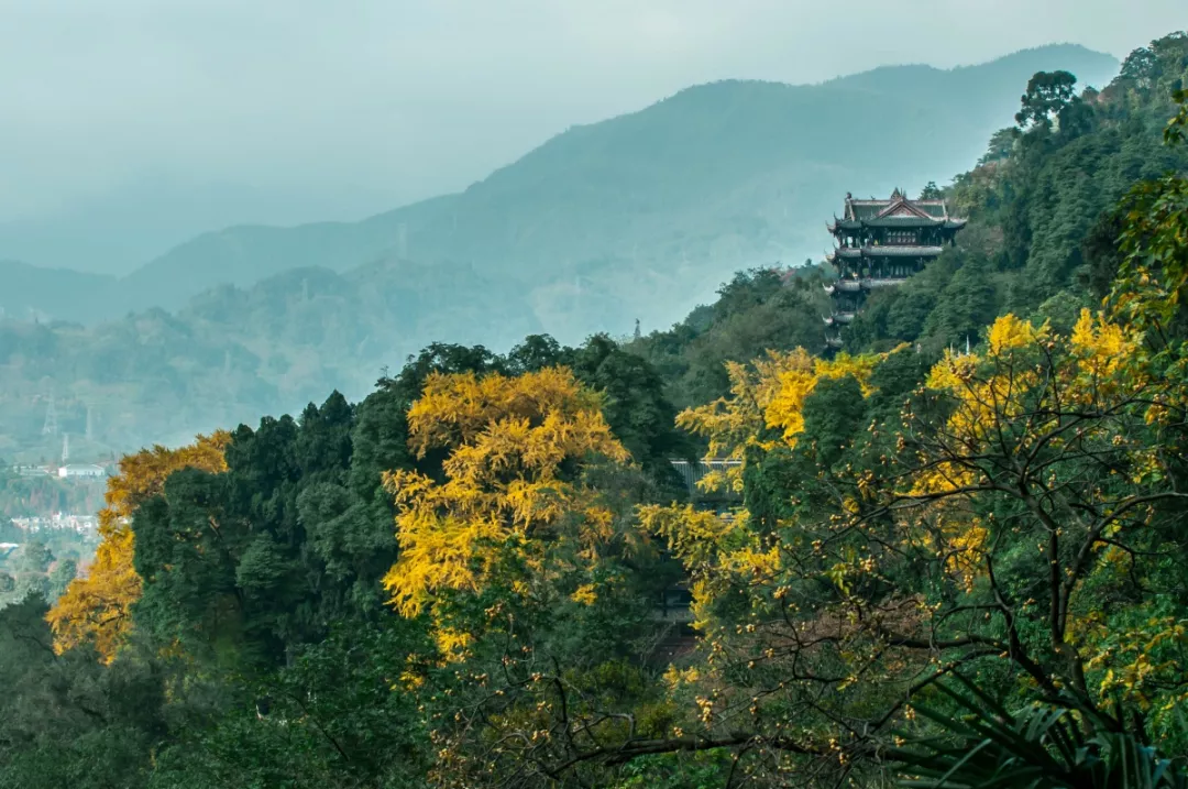 中秋出行！新晉黑馬目的地TOP10，小眾海島、賞秋秘境、文化慢城