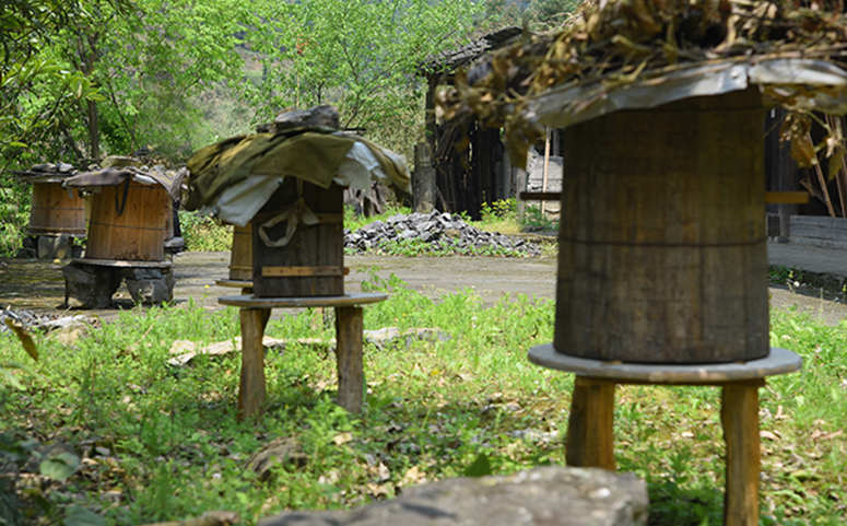 泡沫蜂箱的優(yōu)點和缺點（泡沫箱養(yǎng)蜂優(yōu)點和缺點的介紹）