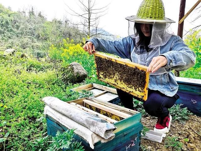 養蜂公司叫什么名字好（有寓意的蜜蜂養殖場取名）